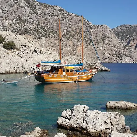 Amazing Blue Voyage *